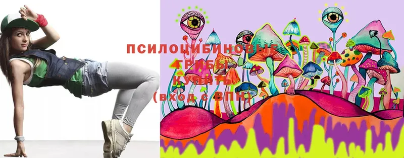 Псилоцибиновые грибы Magic Shrooms  купить наркоту  Новозыбков 